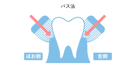 バス法のイメージ